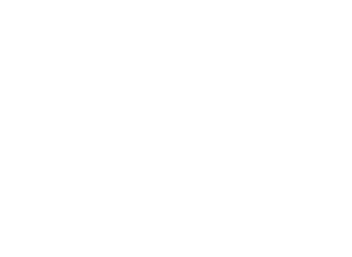 AY-logo